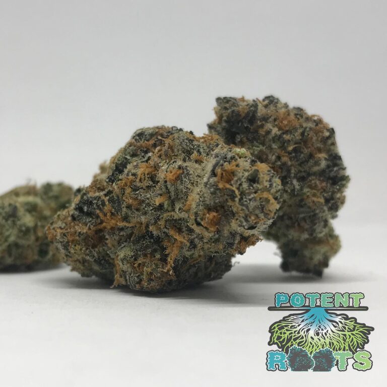 Potent Roots Big Smoke buds