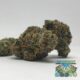 Potent Roots Big Smoke buds